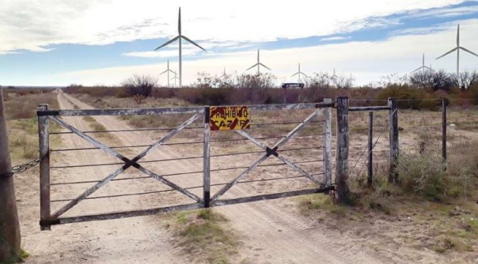 Nuevo proyecto de eólica en La Pampa con 100 MW: aerogeneradores de 229 metros de alto