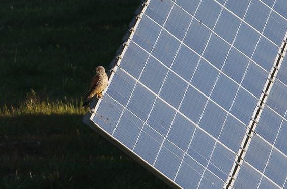 Estas son las 4 innovaciones en energía solar fotovoltaica que pueden revolucionar la energía a nivel mundial